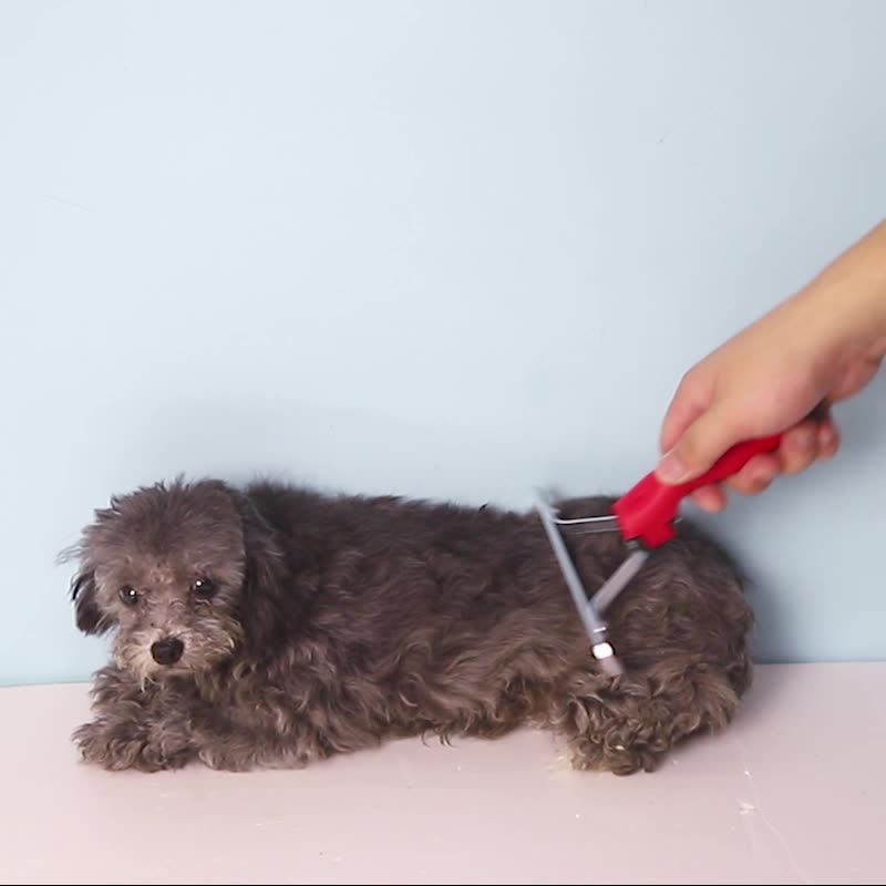 Discover the Ultimate Grooming Tool for Your Furry Friends