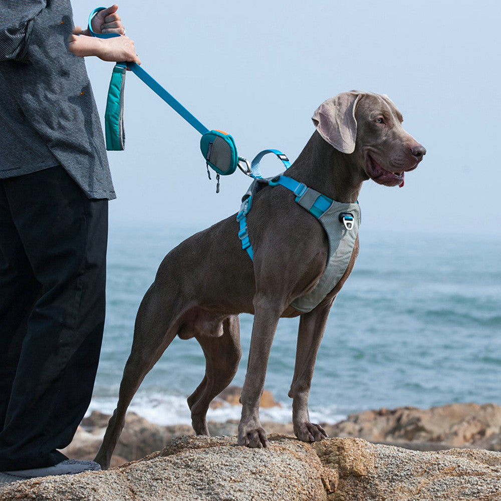 Heavy Duty Pet Harness With Storage Bag: The Ultimate Companion for Your Furry Friend