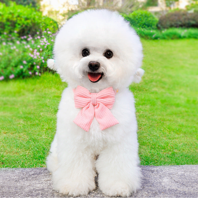 Discover the Ultimate Outdoor Pet Harness And Leash Set