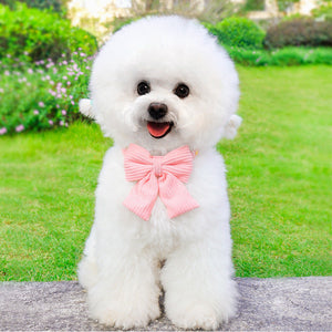 Discover the Ultimate Outdoor Pet Harness And Leash Set