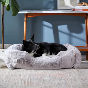 Choosing the Perfect Pet Bed for Everyday Comfort